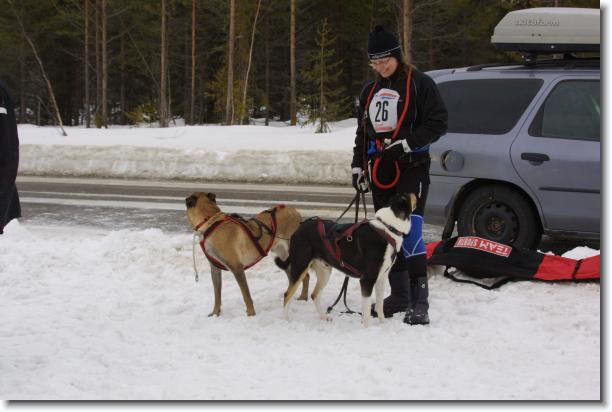 N�sta bild