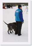 IMG_5929 * 1440 x 2160 * (1.79MB)