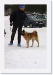 IMG_6232 * 1440 x 2160 * (2.56MB)
