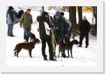 IMG_6280 * 2160 x 1440 * (2.62MB)