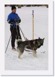 IMG_6291 * 1440 x 2160 * (1.83MB)