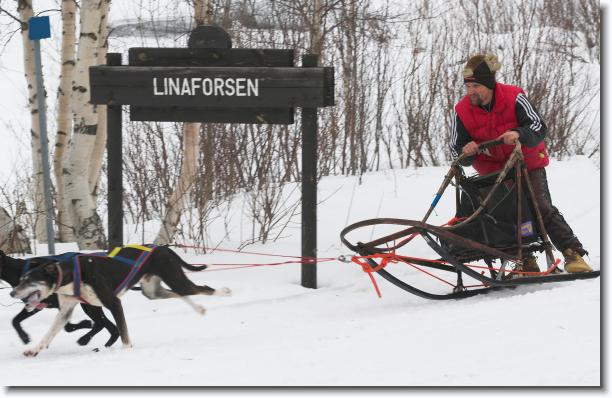 N�sta bild