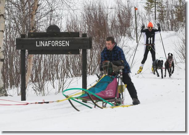 N�sta bild