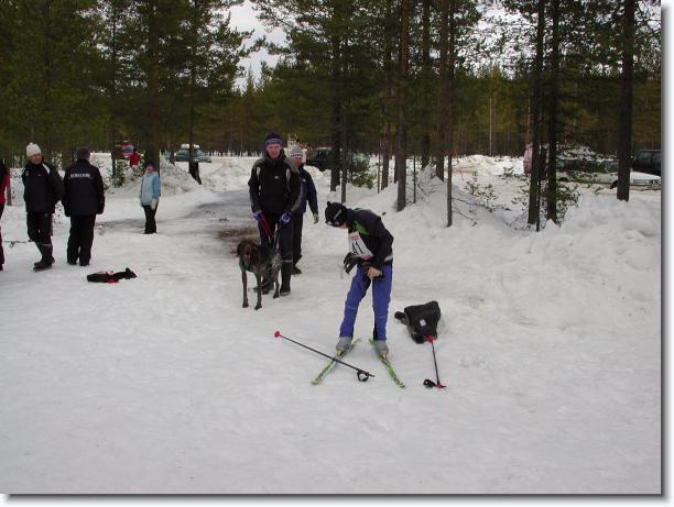 N�sta bild