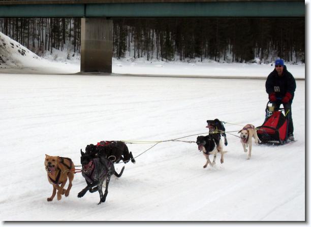 N�sta bild