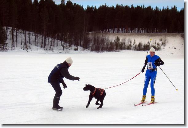 N�sta bild