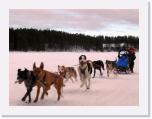 IMG_5599 * 1773 x 1332 * (1.81MB)