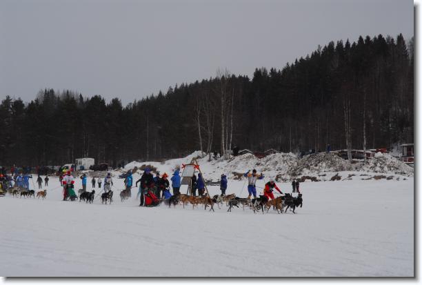 N�sta bild