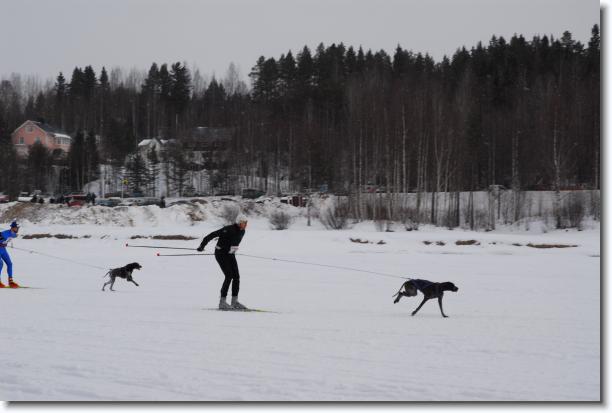 N�sta bild