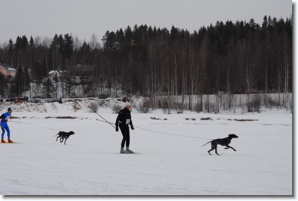N�sta bild