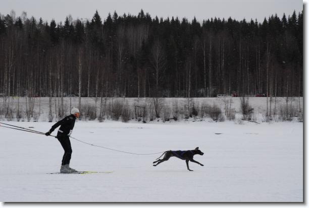 N�sta bild