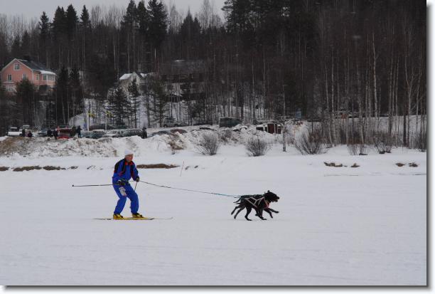 N�sta bild