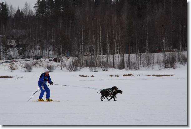 N�sta bild