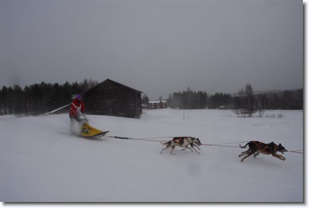 N�sta bild
