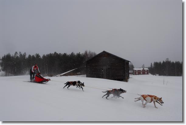N�sta bild
