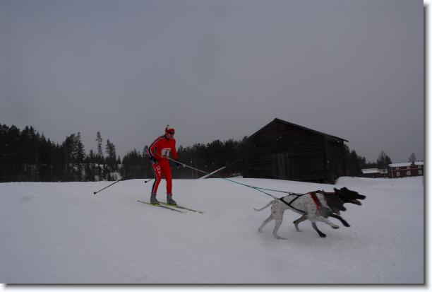N�sta bild