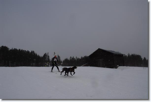 N�sta bild