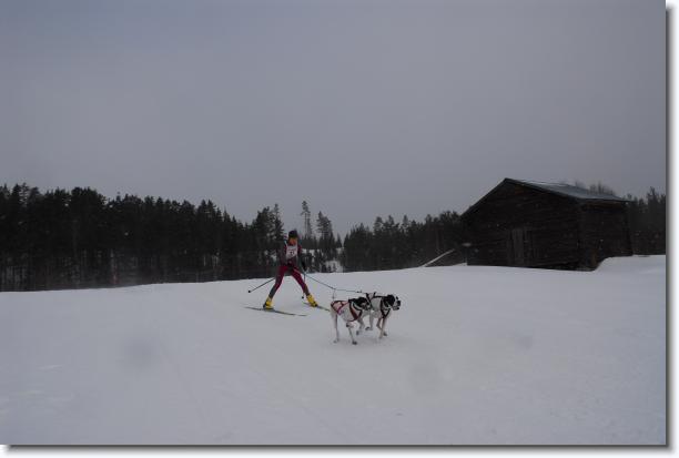 N�sta bild