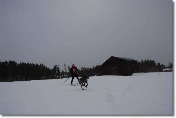 N�sta bild