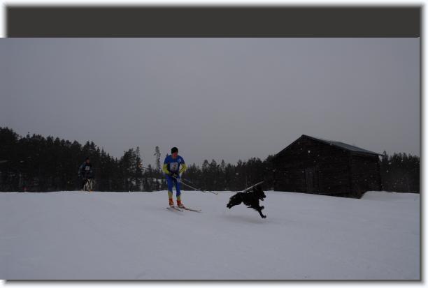 N�sta bild