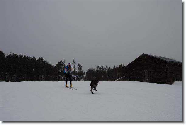 N�sta bild