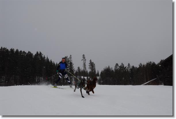 N�sta bild