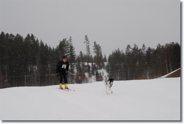 N�sta bild