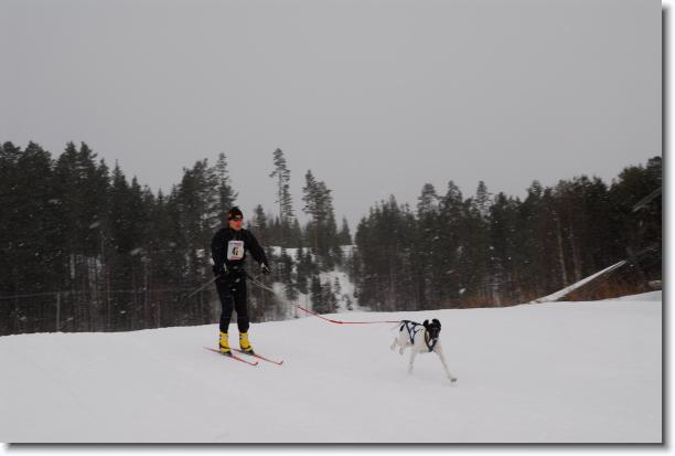 N�sta bild