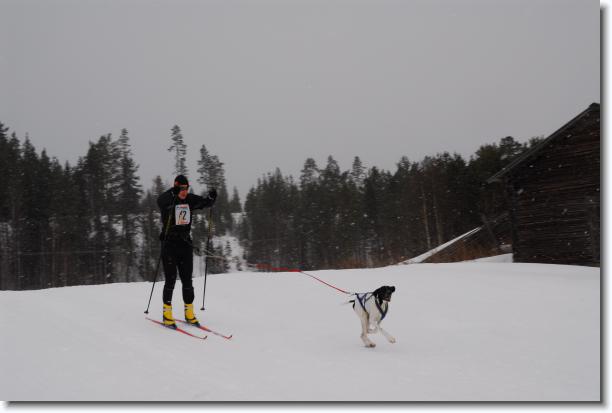 N�sta bild