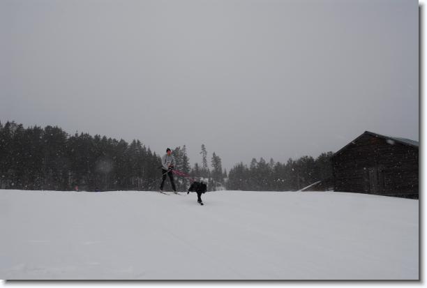 N�sta bild