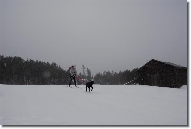 N�sta bild