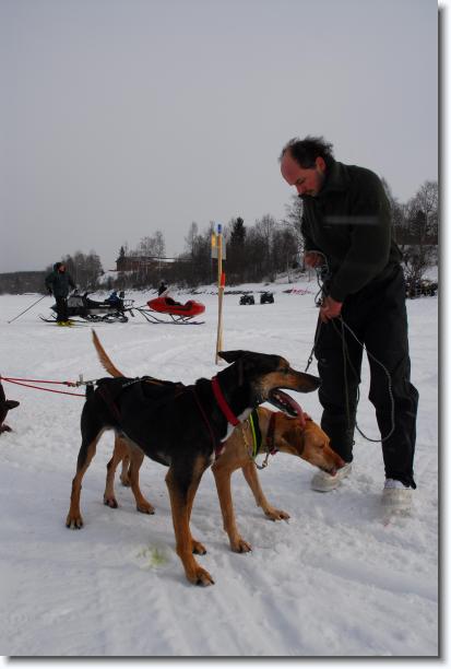N�sta bild