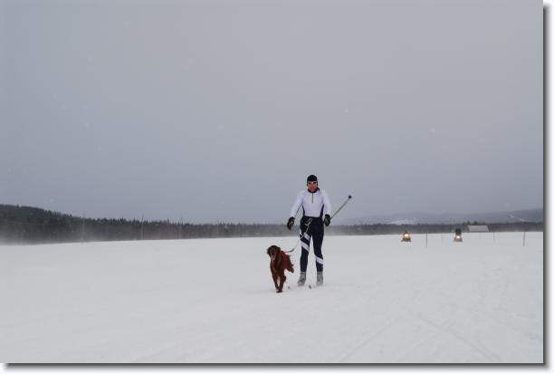 N�sta bild