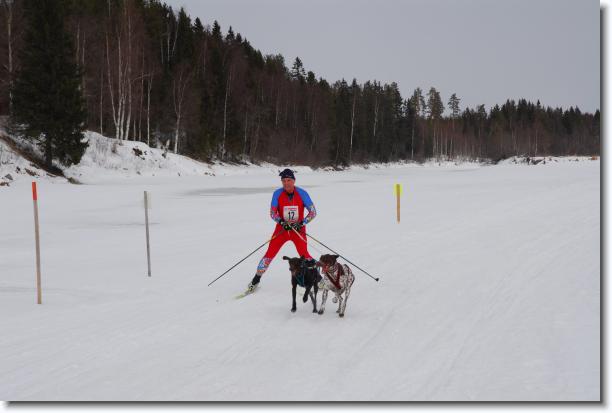 N�sta bild