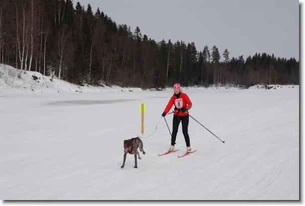 N�sta bild