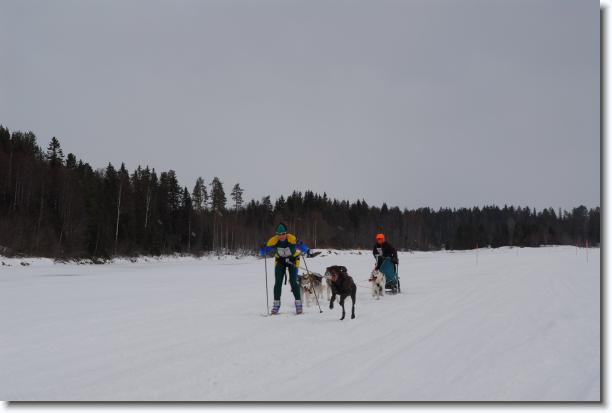 N�sta bild