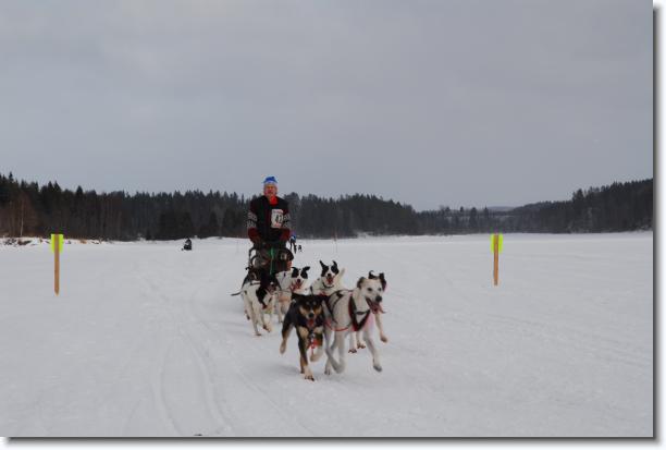 N�sta bild