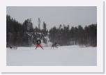 DSC_0974 * 3872 x 2592 * (688KB)