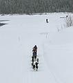 IMG_8230