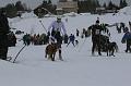 IMG_8459