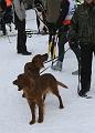 IMG_8564