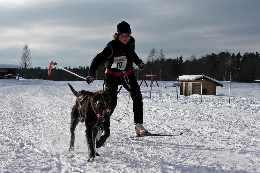 IMG_5553a.jpg