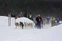 IMG_4890a