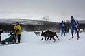 IMG_4903a