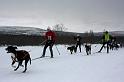 IMG_4924a