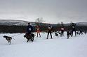 IMG_4931a