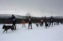 IMG_4932a