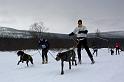 IMG_4938a
