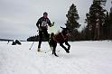 IMG_5241a