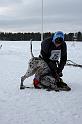 IMG_5480a
